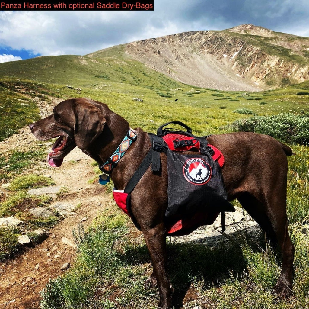 Panza Harness V2 with Deployable Emergency Dog Rescue Sling