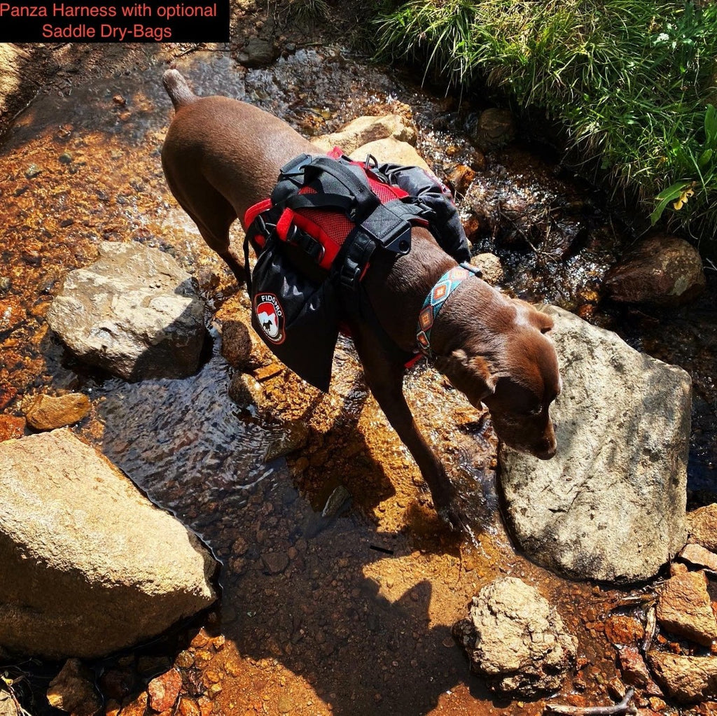 Panza Harness V2 with Deployable Emergency Dog Rescue Sling
