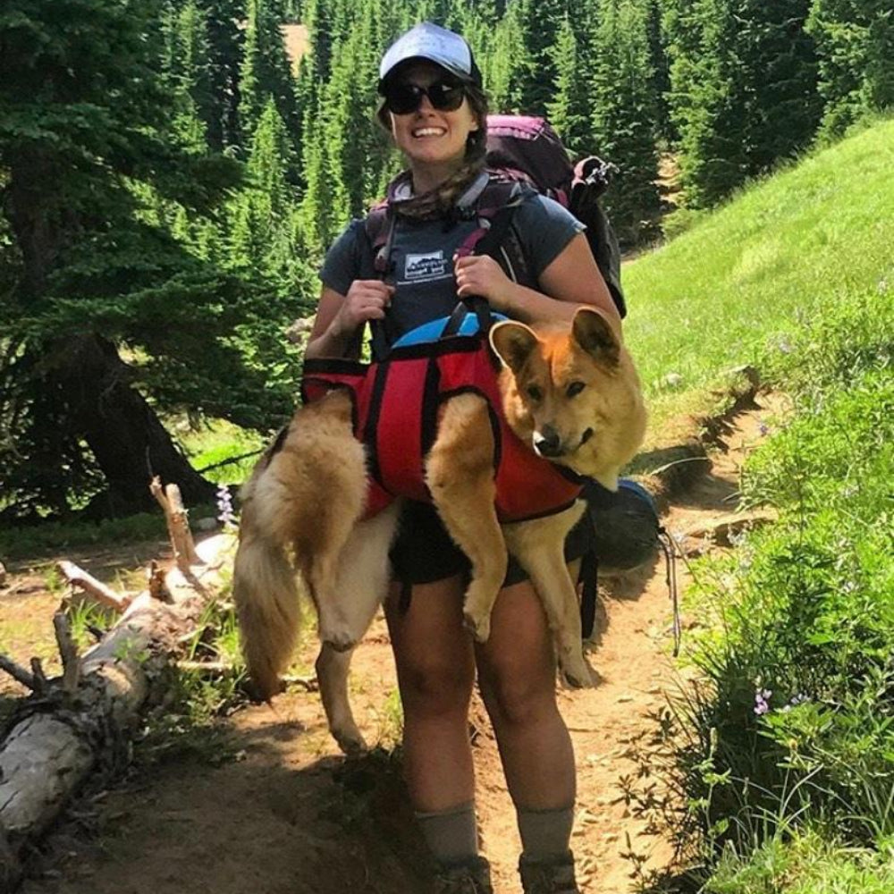 The Airlift - K9 Rescue Sling