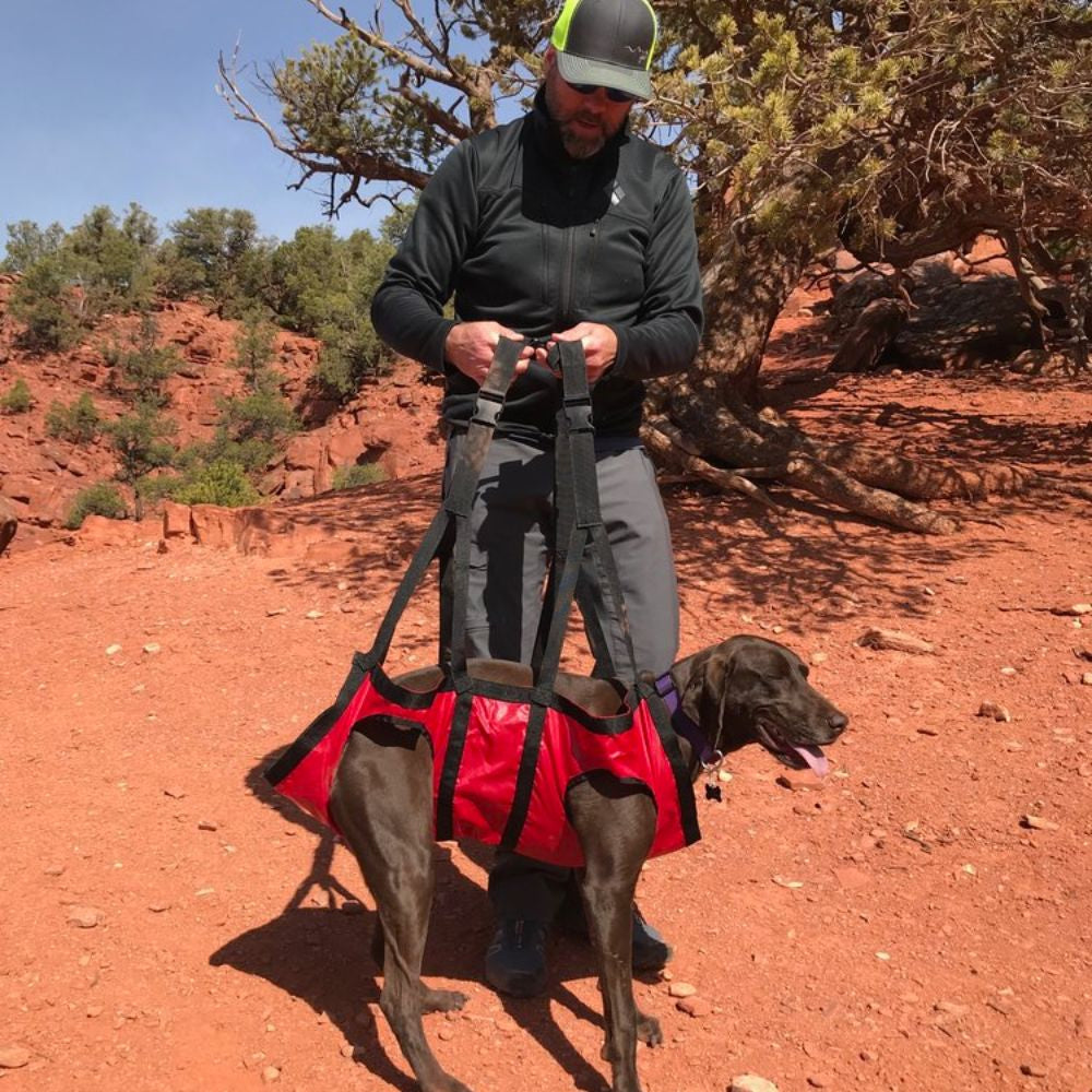 The Airlift - K9 Rescue Sling