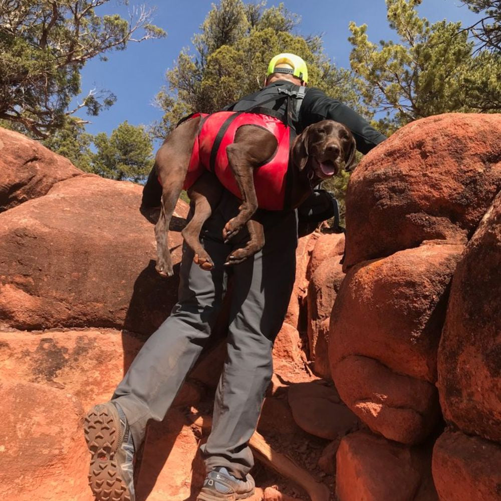 The Airlift - K9 Rescue Sling