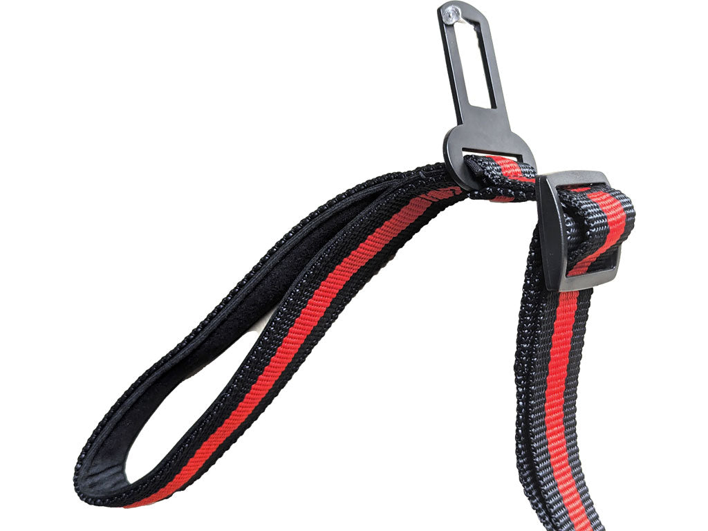 Dog Seat Belt