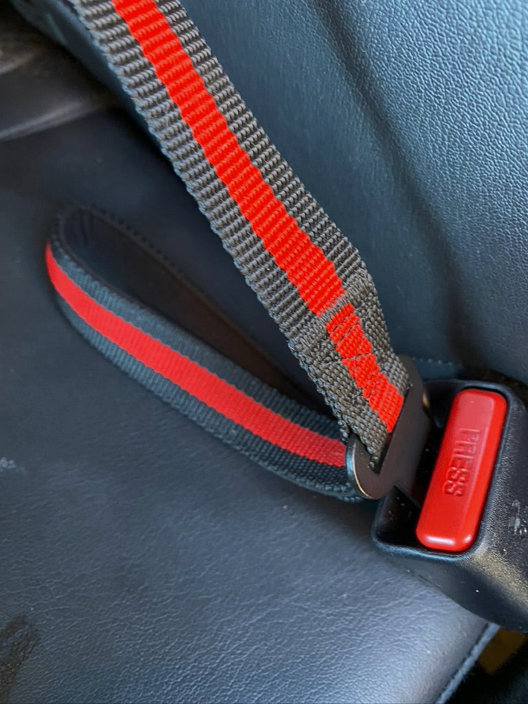 Dog Seat Belt